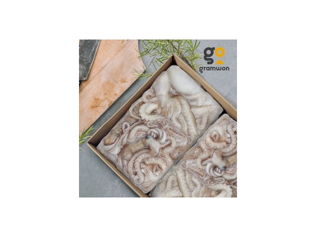 활낙지6미 가이드 정보 공유