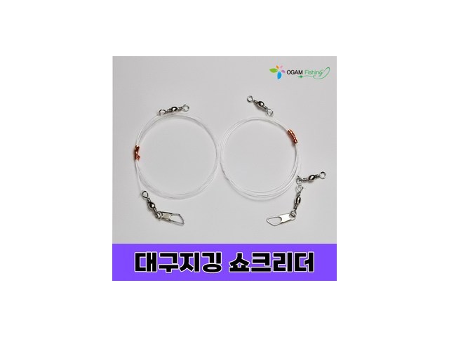 대구채비 올해 화제의 아이템